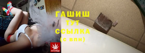 мдпв Каменка
