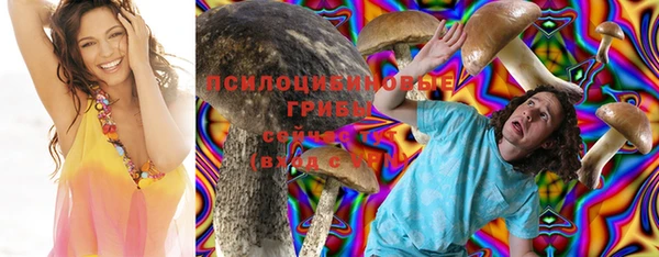 спайс Алзамай