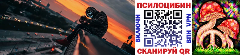 mega tor  Берёзовка  Псилоцибиновые грибы Magic Shrooms 